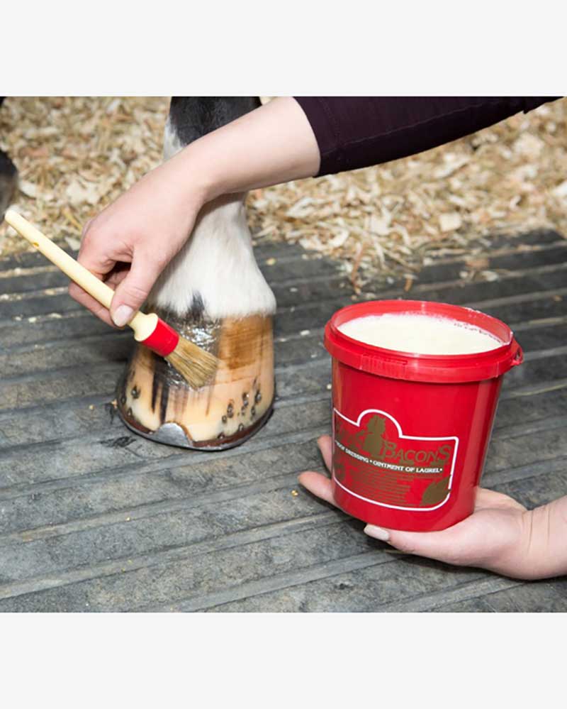 Laurel Hoof Ointment for Horse Hoof Care – Kevin Bacon’s