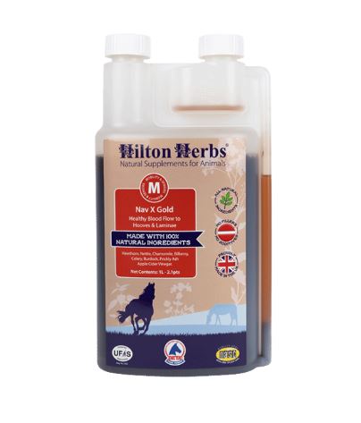 Complément alimentaire pour la circulación saludable (1L) - Navx Gold - Hilton herbs