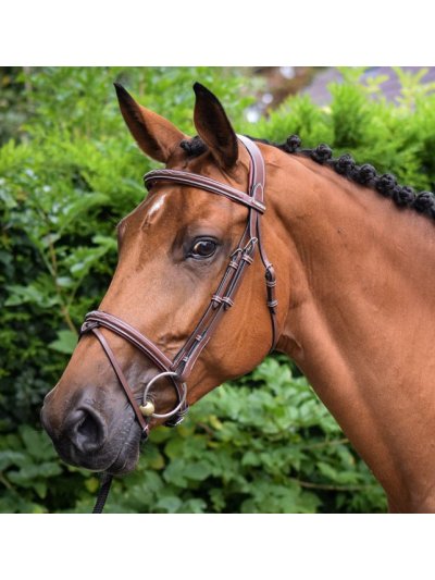 Hazelnut leather bridle with rubber rein for horse - Paris - Jumpin