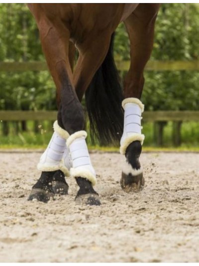 Lot de 2 protections de dressage blancs avec mouton pour cheval - Lami-Cell