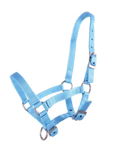 Licol d'écurie bleu clair pour poulain - QHP