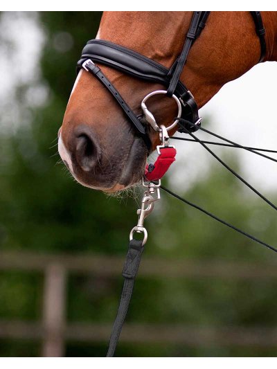 Muserolle en nylon pour dar corde rouge - QHP - imagen 2