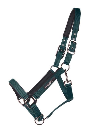 Licol d'écurie vert foncé pour cheval et poney - QHP