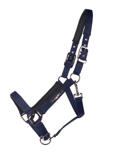 Licol d'écurie bleu marine pour cheval et poney - QHP