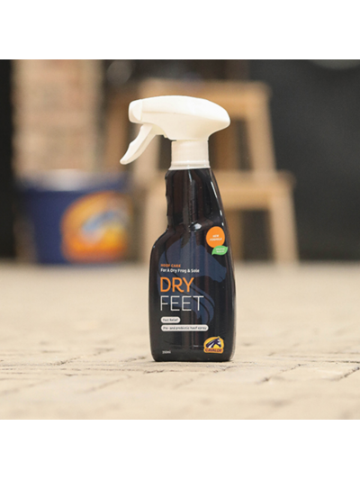 Tópico de pro y prebióticos naturales para endurecer y sanear las ranillas y la suela de los cascos ( 250 ml) Dry Feet Natural - Cavalor - imagen 3