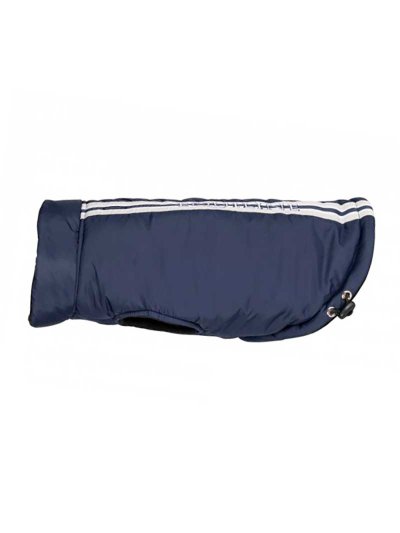 Manteau pour chien bleu marine avec una banda beige et blanche au dos - Buzz - Equiline