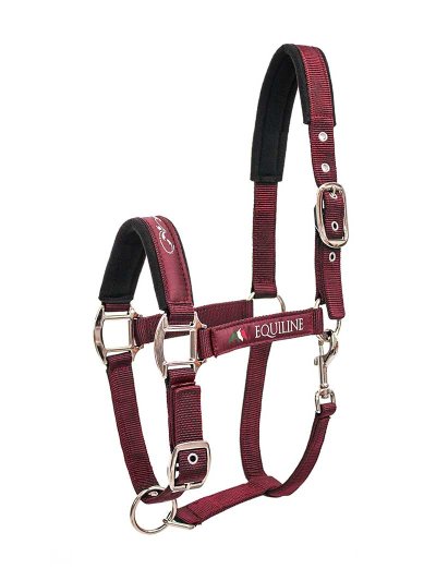 Licol d'écurie bordeaux pour cheval - Timmy - Equiline