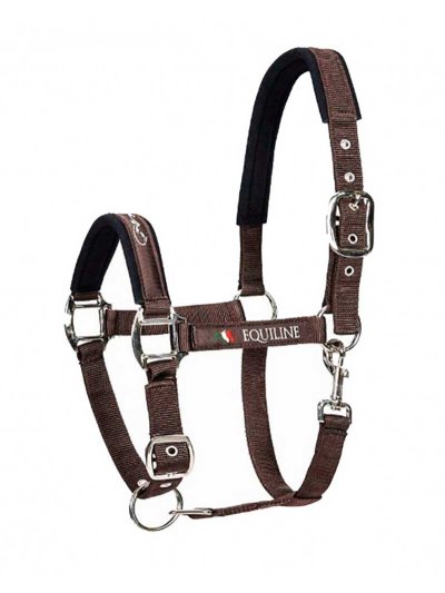 Licol d'écurie marron foncé pour cheval - Timmy - Equiline