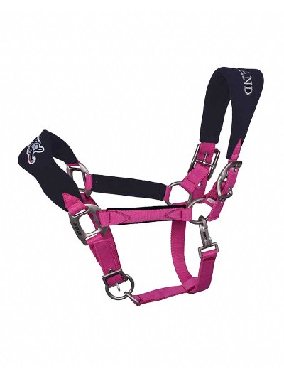 Licol d'écurie fuchsia et bleu marine avec sequins pour poney (C et D) - Fugeret - Kingsland