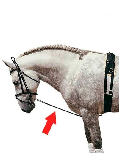 Chambón élastique noir en caoutchouc de 150cm 4010-K - Zaldi