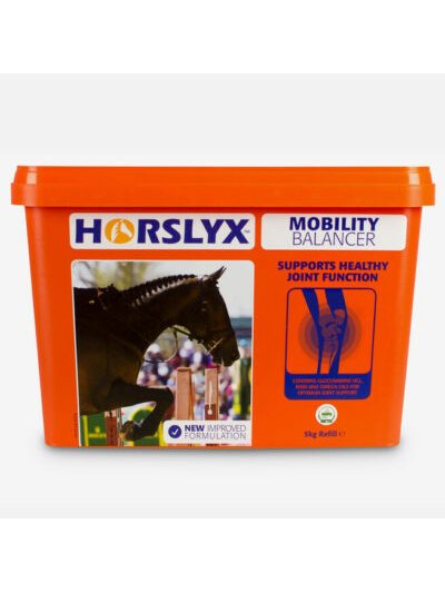 Feed Supplement for Joint Support – Mobility – Horslyx (650 g)