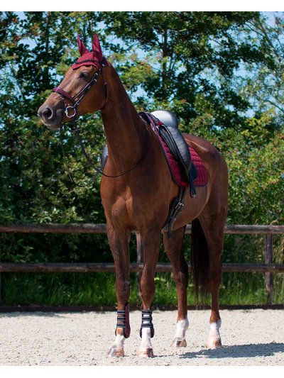 Tapis de dressage bordeaux pour cheval - Florence - QHP - imagen 2