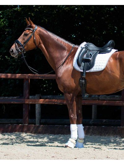 Tapis de dressage blanc pour cheval - Florence - QHP - imagen 2