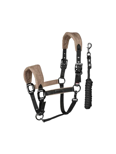 Licol et longe noir et marron (Brown Iron) pour cheval et poney Audrey - Kingsland