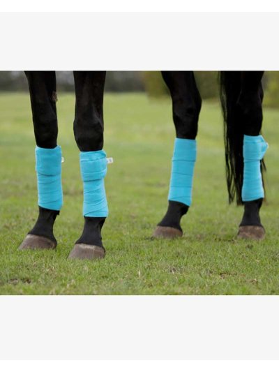 Lot de 4 bandes polaires de travail bleu clair pour cheval - QHP - imagen 2