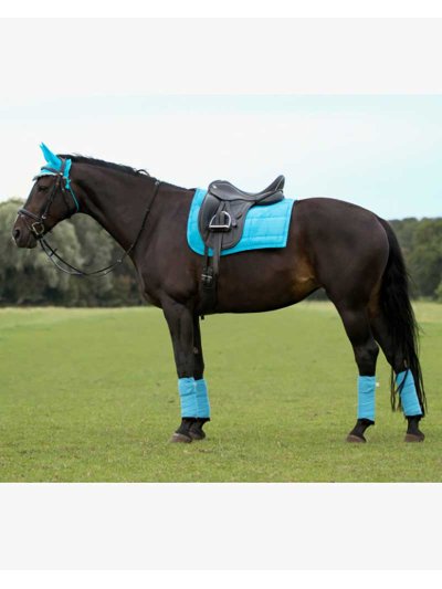 Lot de 4 bandes polaires de travail bleu clair pour cheval - QHP - imagen 4
