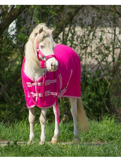 Couverture polaire séchante avec sangles croisées rose fuchsia pour poney - QHP