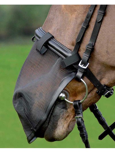 Protection anti-mouches pour le nez pour cheval - Waldhausen