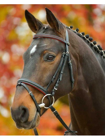 Bride en cuir noir à strass et coussinets rouges (inclut Rênes) pour poney - Diamond - STAR