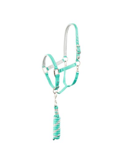 Licol d'écurie avec longe vert menthe (teal green) et gris avec paillettes pour poney - ANKY