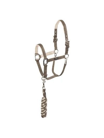 Licol d'écurie avec longe gris (Bungee Cord) pour cheval - Anky