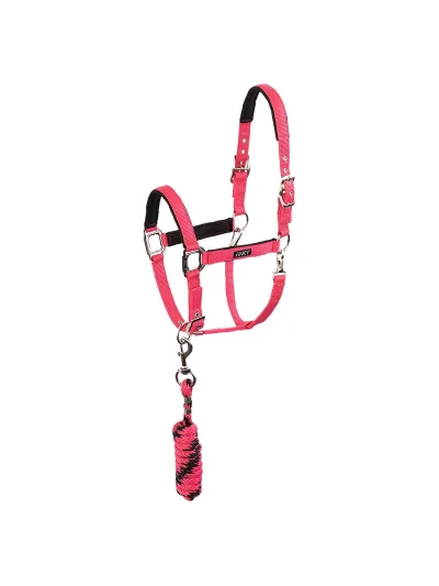 Licol d'écurie avec longe fuchsia (Innuendo) pour cheval - Anky