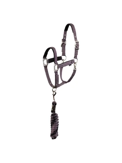 Licol avec longe en violet (Vintage Violet) - Anky