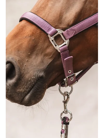 Licol avec longe en violet (Vintage Violet) - Anky - imagen 2