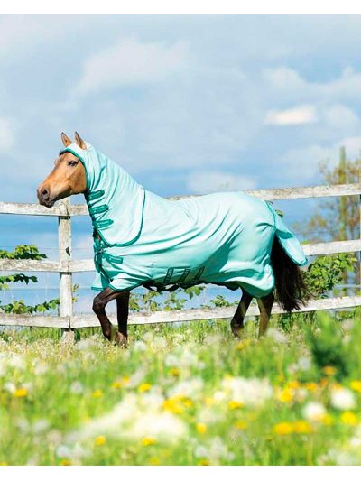 Couverture anti-mouches avec couvre-cou et capuche vert très clair pour cheval - Rambo