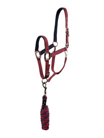 Licol d'écurie avec longe bleu marine et bordeaux (tawny port) pour cheval et poney - ANKY