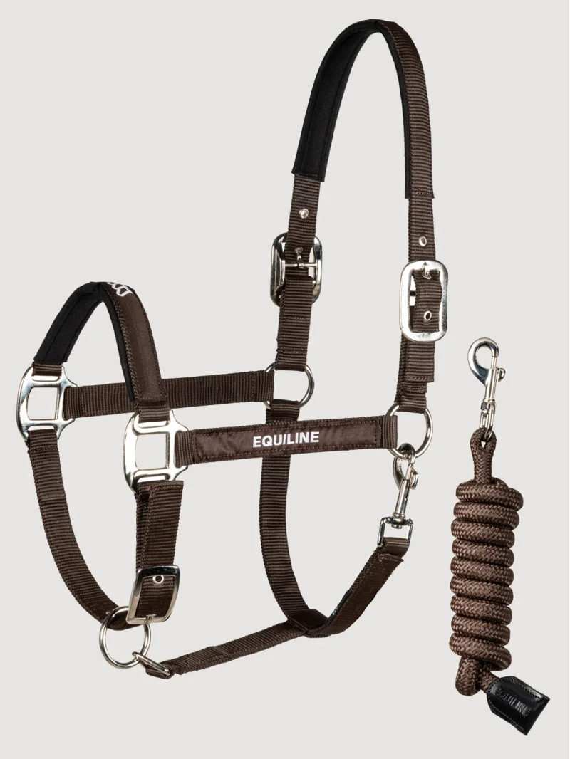 Ensemble licol et longe assorti pour cheval marron EQTRAS