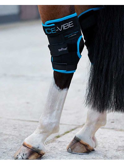 Lot de 2 protections froides de repos de corvejón pour cheval - Ice-Vibe - Horseware