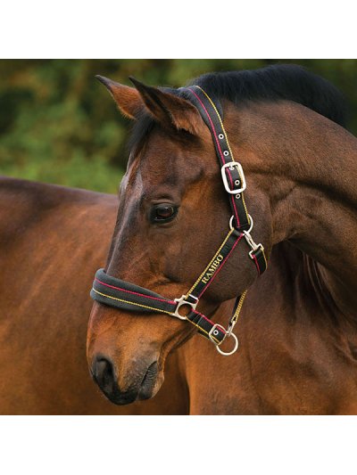 Licol d'écurie réglable noir avec lignes rouges et jaunes et muserolle polaire pour cheval et poney - Rambo