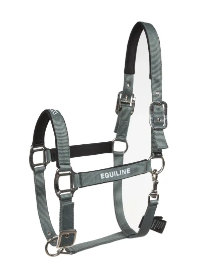 Set de cabezada de cuadra y ramal verde para caballo EQCALONG - Equiline