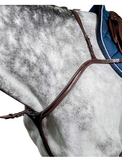 Bricole long bridge de saut marron foncé avec Martingales pour cheval - D35 - Prestige