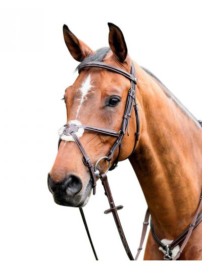 Bride de travail marron foncé avec muserolle mejicana pour cheval - E-80 - Prestige