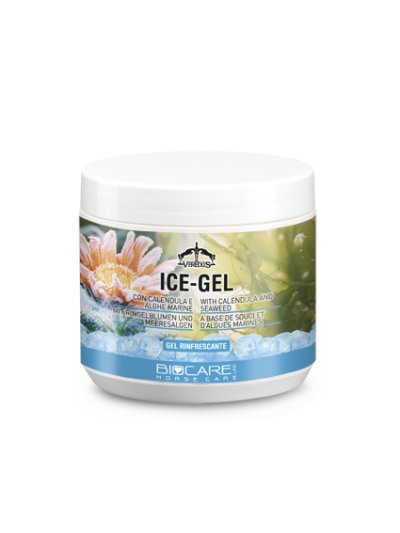 Gel effet froid "Ice Gel" (500ml) - Veredus