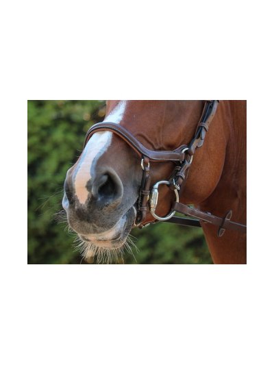 Muserolle marron antirozadura pour cheval - New York - JUMP IN