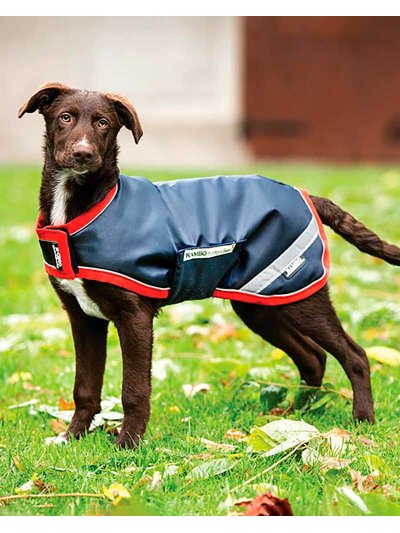 Manteau pour chien bleu marine imperméable et réfléchissant - RAMBO