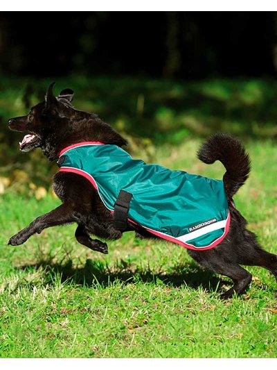 Manteau pour chien vert imperméable et réfléchissant - RAMBO