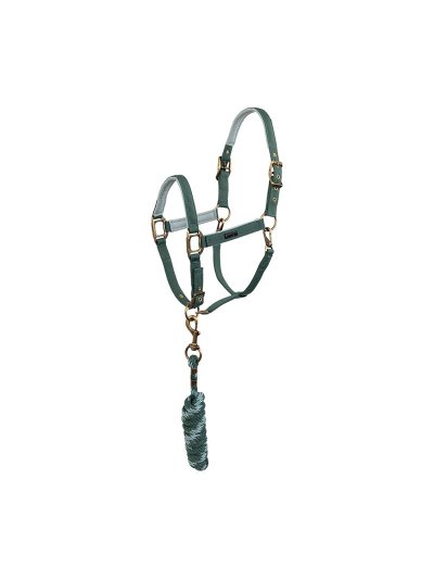 Cabezada de cuadra con ramal verde (Silver Pine) para caballo - Anky