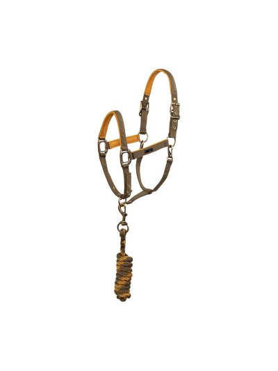 Licol d'écurie avec longe bronze et moutarde (Teak) pour cheval - Anky