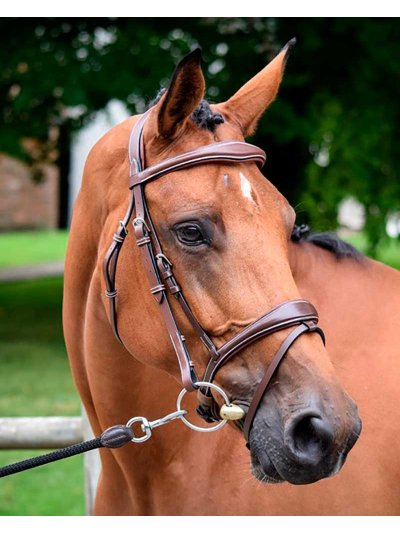 Bride de travail avec Rênes marron foncé pour cheval - Bruxelles - JUMP IN
