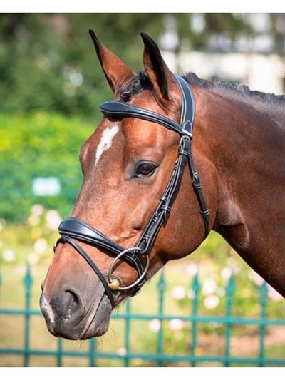 Bride de travail avec Rênes noire pour cheval - Bruxelles - JUMP IN