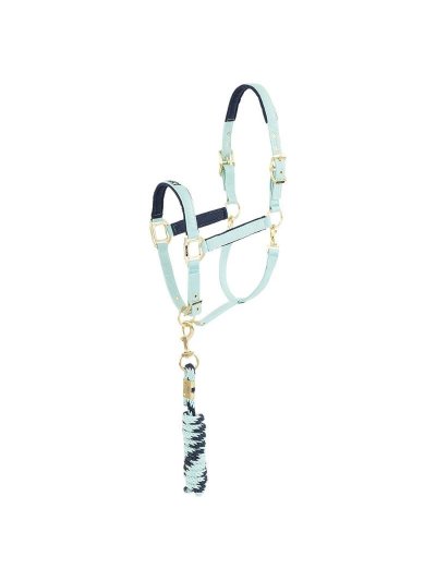 Licol d'écurie avec longe vert turquoise et bleu marine pour cheval et poney - Anky