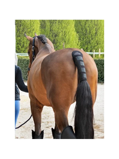 Protector de cola negro de aprox 32cm Noll - Equiline - imagen 3