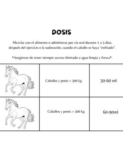 Concentrado de electrolitos, vitamina B para recuperación optima (1L) Refuel Liquid - FORAN - imagen 3