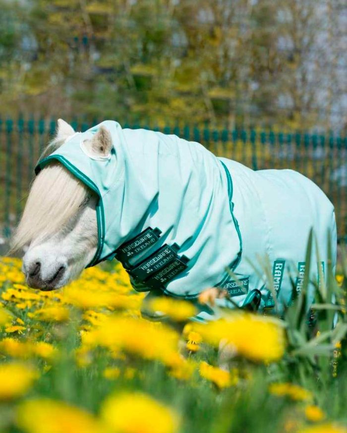 Manta antimoscas con cuello y capucha verde muy claro para caballo de RAMBO - Imagen 2