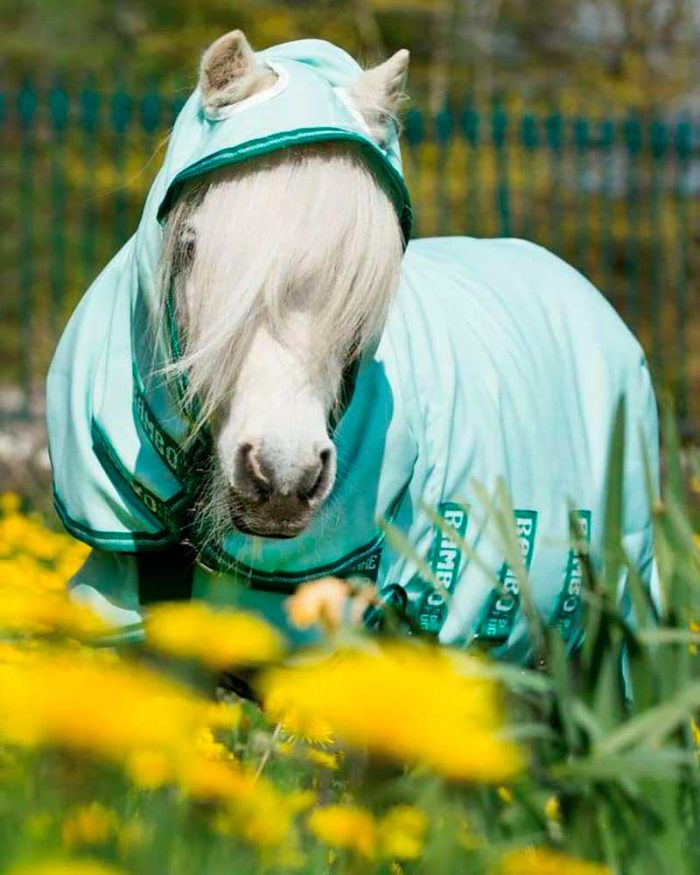 Manta antimoscas con cuello y capucha verde muy claro para caballo de RAMBO - Imagen 6