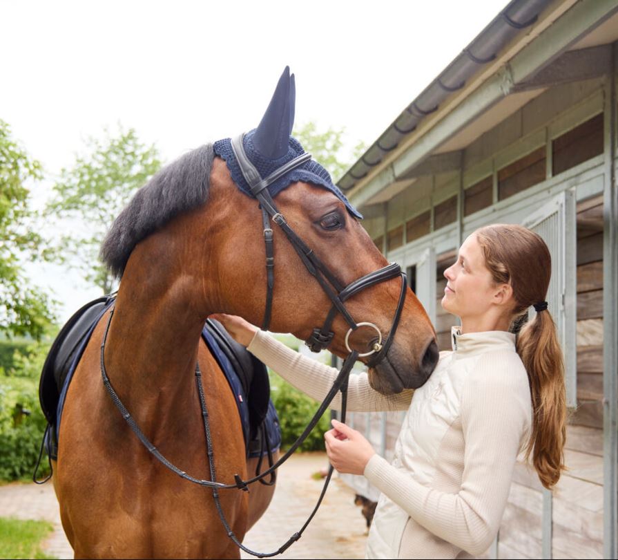Orejeras de crochet en azul marino con orejas de neopreno antirruido para caballo y pony - KLNelly-Kingsland - Imagen 3